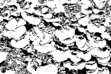 Soyut grunge arkaplanı. Monokrom dokusu. Siyah ve beyaz desenli arkaplan