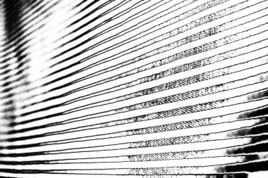 Soyut grunge arkaplanı. Monokrom dokusu. Siyah ve beyaz desenli arkaplan