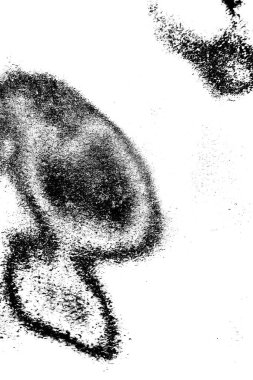 Soyut grunge arkaplanı. Monokrom dokusu. Siyah ve beyaz desenli arkaplan