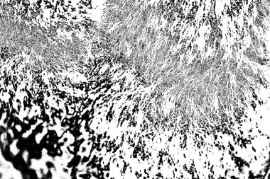 Monokrom dokusu. Siyah beyaz arka plan. Soyut grunge arkaplanı.