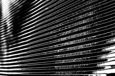 Soyut grunge arkaplanı. Monokrom dokusu. Siyah beyaz arkaplan