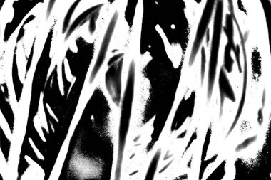 Siyah ve beyaz arkaplanlı tek renkli doku.