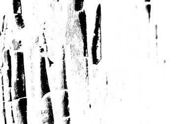 Soyut grunge arkaplanı. Monokrom dokusu. Siyah beyaz arkaplan