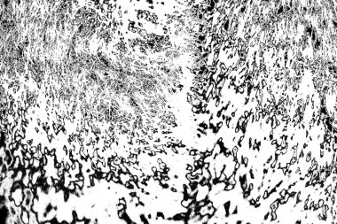 Soyut grunge arkaplanı. Monokrom dokusu. Siyah beyaz arkaplan