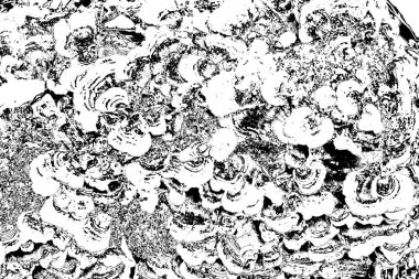 Soyut grunge arkaplanı. Monokrom dokusu. Siyah ve beyaz desenli arkaplan