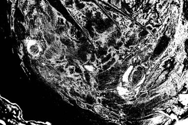 Siyah ve beyaz arkaplanlı tek renkli doku.