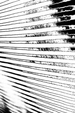 Soyut grunge arkaplanı. Monokrom dokusu. Siyah ve beyaz desenli arkaplan