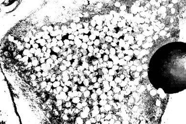 Soyut grunge arkaplanı. Monokrom dokusu. Siyah ve beyaz desenli arkaplan