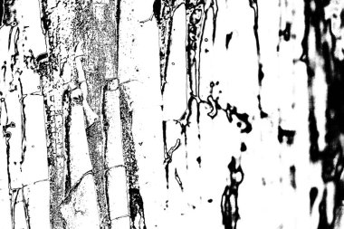 Soyut grunge arkaplanı. Monokrom dokusu. Siyah beyaz arkaplan