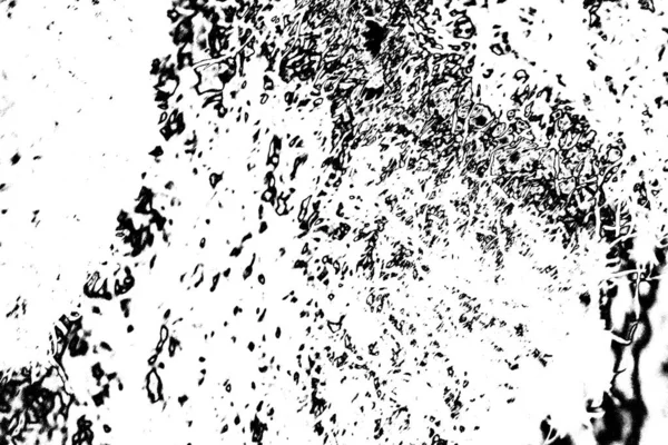 Monokrom dokusu. Siyah beyaz arka plan. Soyut grunge arkaplanı.