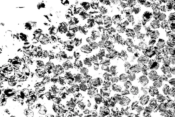 Soyut grunge arkaplanı. Monokrom dokusu. Siyah ve beyaz desenli arkaplan