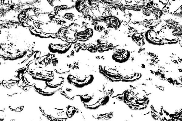 Soyut grunge arkaplanı. Monokrom dokusu. Siyah ve beyaz desenli arkaplan