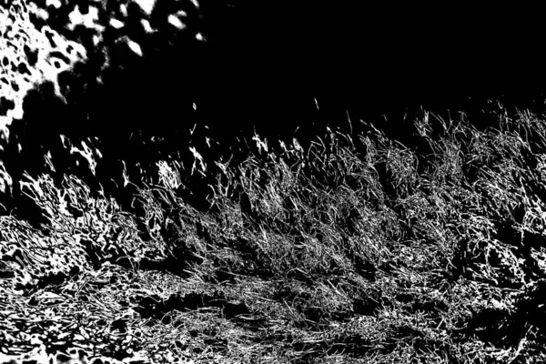 Sfondo Astratto Texture Monocromatica Immagine Compreso Effetto Toni Bianco Nero — Foto Stock