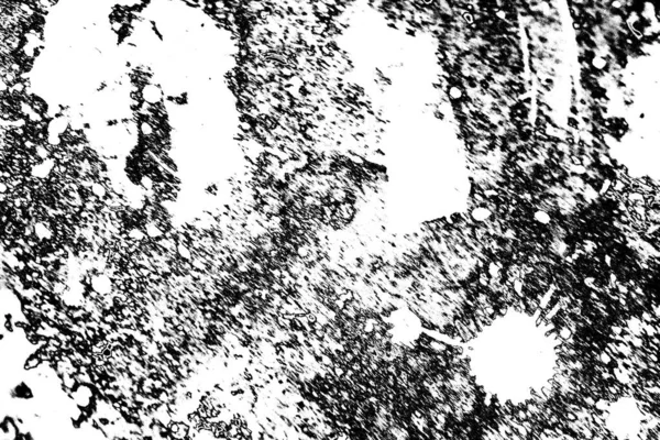 Fondo Grunge Abstracto Textura Monocromática Fondo Texturizado Blanco Negro —  Fotos de Stock