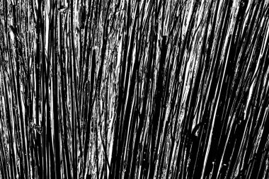 Soyut grunge arkaplanı. Monokrom dokusu. Siyah beyaz arkaplan