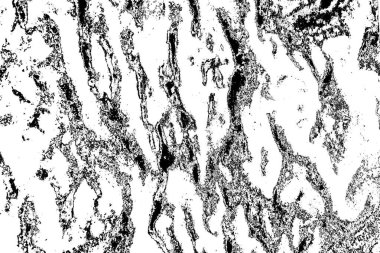 Soyut grunge arkaplanı. Monokrom dokusu. Siyah ve beyaz desenli arkaplan