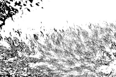 Soyut grunge arkaplanı. Monokrom dokusu. Siyah beyaz arkaplan