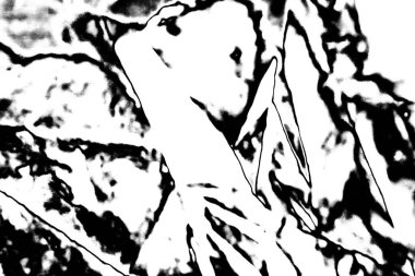 Soyut grunge arkaplanı. Monokrom dokusu. Siyah beyaz arkaplan