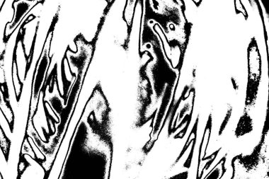 Soyut grunge arkaplanı. Monokrom dokusu. Siyah ve beyaz desenli arkaplan