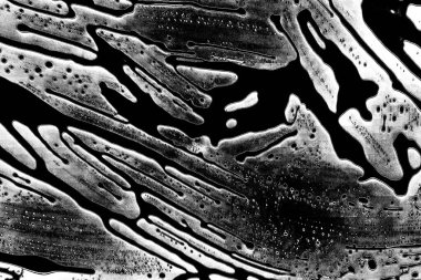 Soyut grunge arkaplanı. Monokrom dokusu. Siyah beyaz arkaplan