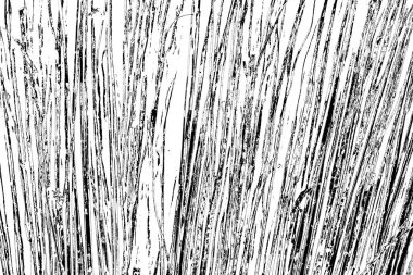 Soyut grunge arkaplanı. Monokrom dokusu. Siyah ve beyaz desenli arkaplan