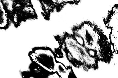 Soyut grunge arkaplanı. Monokrom dokusu. Siyah ve beyaz desenli arkaplan