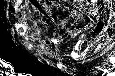 Soyut grunge arkaplanı. Monokrom dokusu. Siyah beyaz arkaplan