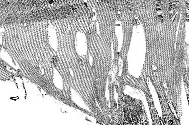 Soyut grunge arkaplanı. Monokrom dokusu. Siyah ve beyaz desenli arkaplan