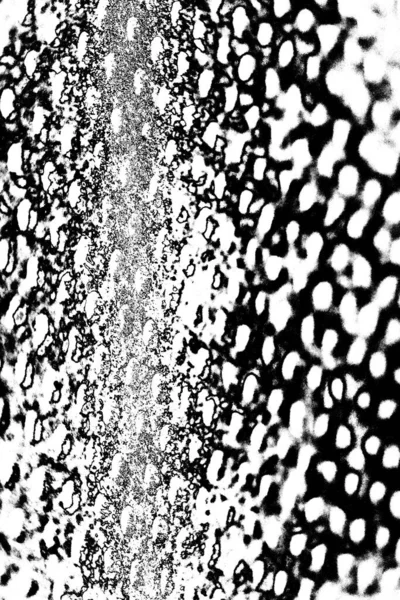 Fondo Grunge Abstracto Textura Monocromática Fondo Texturizado Blanco Negro — Foto de Stock