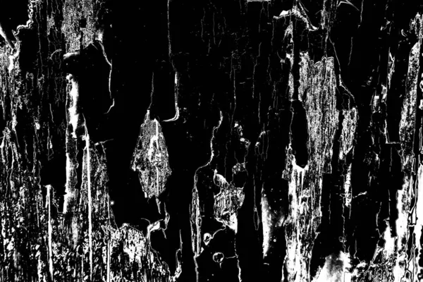 Fondo Grunge Abstracto Textura Monocromática Fondo Blanco Negro —  Fotos de Stock