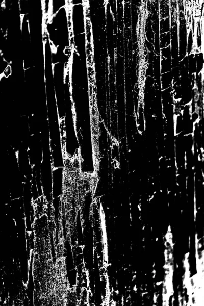 Monochrome Texture Black White Background — Stock Photo, Image
