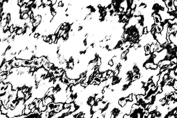 Fondo Grunge Abstracto Textura Monocromática Fondo Texturizado Blanco Negro —  Fotos de Stock