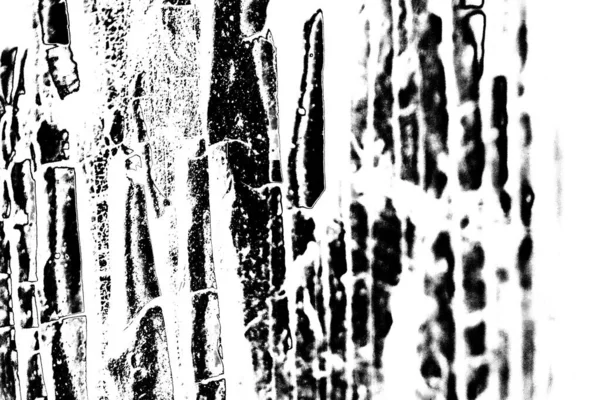 Résumé Fond Grunge Texture Monochrome Fond Texturé Noir Blanc — Photo