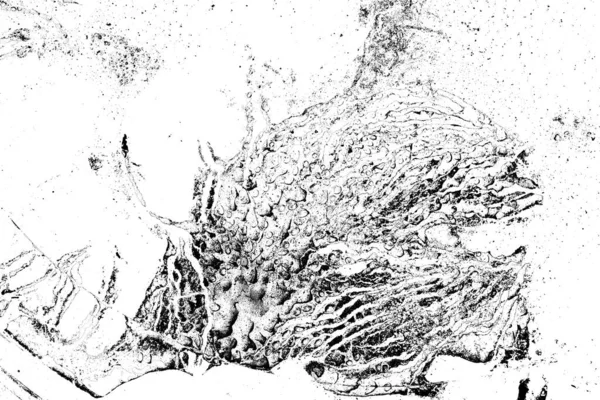 Абстрактный Гранж Фон Монохромная Текстура Черно Белый Текстурированный Фон — стоковое фото
