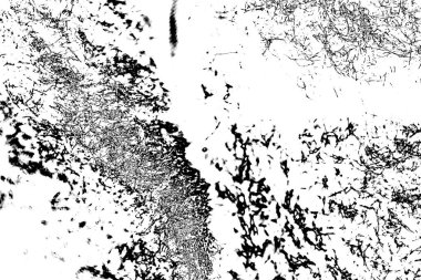 Soyut grunge arkaplanı. Monokrom dokusu. Siyah beyaz arkaplan