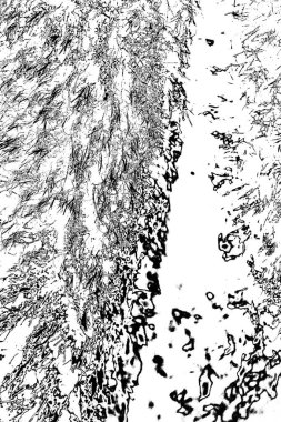 Soyut grunge arkaplanı. Monokrom dokusu. Siyah ve beyaz desenli arkaplan