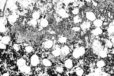 Soyut grunge arkaplanı. Monokrom dokusu. Siyah ve beyaz desenli arkaplan