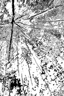 Soyut grunge arkaplanı. Monokrom dokusu. Siyah beyaz arkaplan