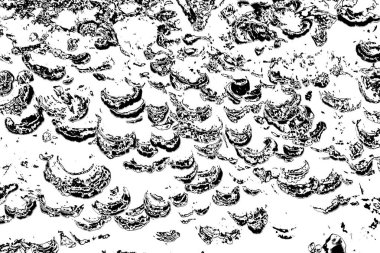 Soyut grunge arkaplanı. Monokrom dokusu. Siyah ve beyaz desenli arkaplan