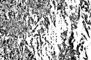 Soyut grunge arkaplanı. Monokrom dokusu. Siyah beyaz arkaplan