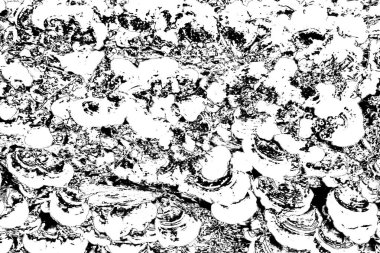 Soyut grunge arkaplanı. Monokrom dokusu. Siyah ve beyaz desenli arkaplan