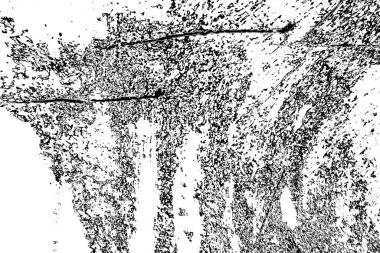 Soyut grunge arkaplanı. Monokrom dokusu. Siyah ve beyaz desenli arkaplan