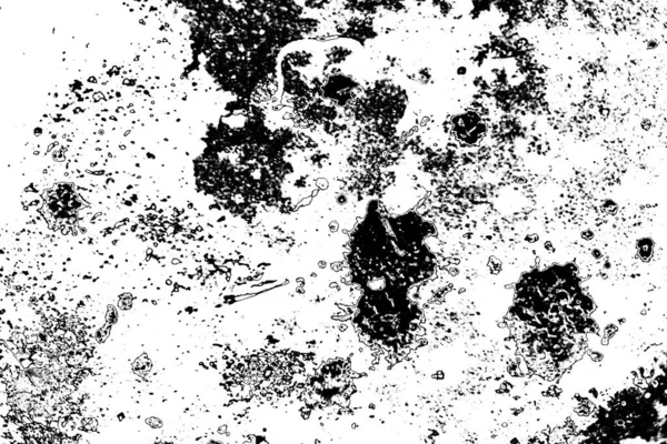 Abstract Grunge Background Monochrome Texture Black White Textured Background — Stock Photo, Image