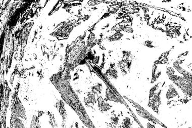 Soyut grunge arkaplanı. Monokrom dokusu. Siyah ve beyaz desenli arkaplan