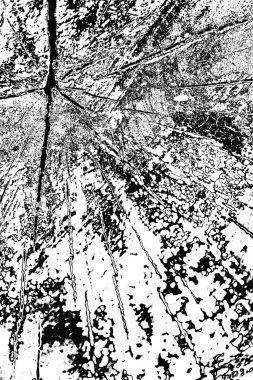 Monokrom dokusu. Siyah beyaz arka plan. Soyut grunge arkaplanı.