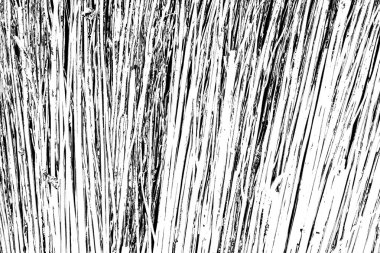 Soyut grunge arkaplanı. Monokrom dokusu. Siyah ve beyaz desenli arkaplan