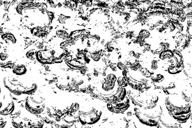 Soyut grunge arkaplanı. Monokrom dokusu. Siyah ve beyaz desenli arkaplan