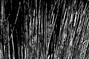 grungy soyut arkaplan, siyah beyaz tonlar, kopyalama alanı