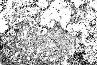 Soyut grunge arkaplanı. Monokrom dokusu. Siyah beyaz arkaplan