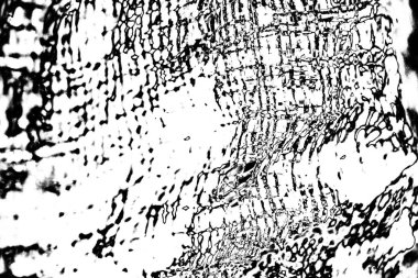 Soyut grunge arkaplanı. Monokrom dokusu. Siyah beyaz arkaplan